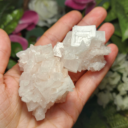 Pink Halite