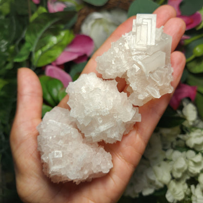 Pink Halite