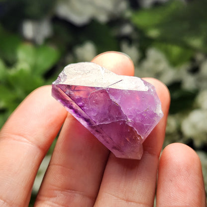 Auralite 23