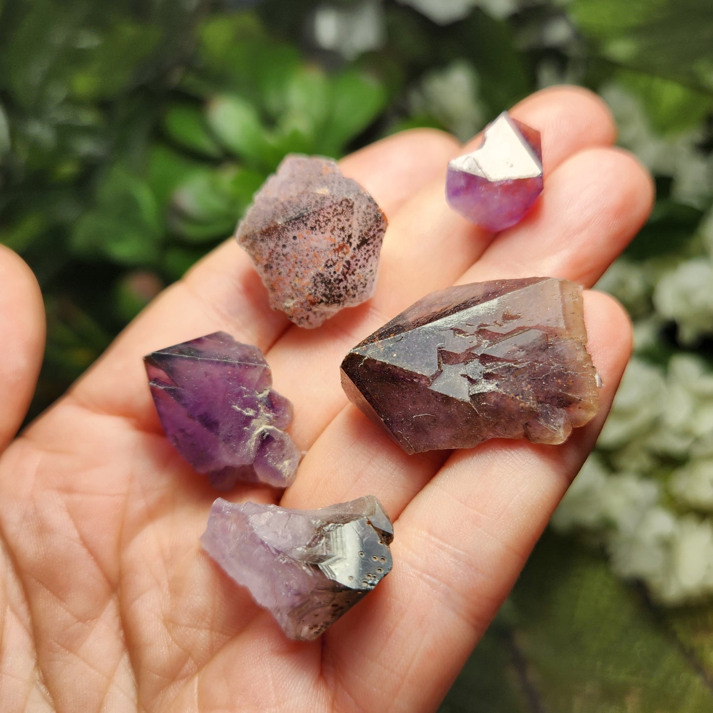 Auralite 23