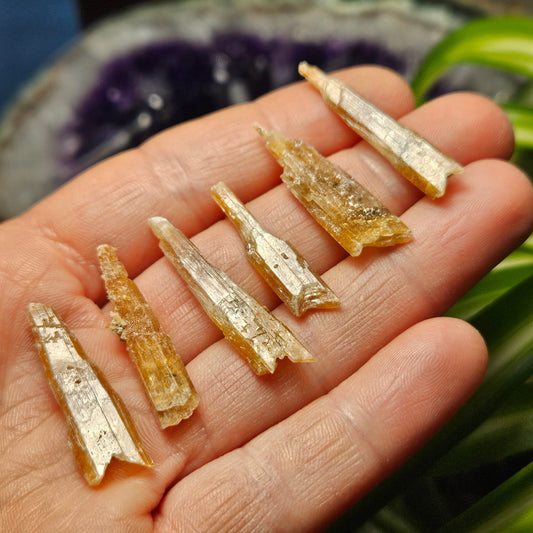 FISHTAIL Selenite