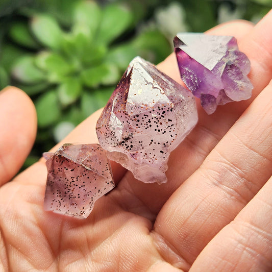 Auralite 23