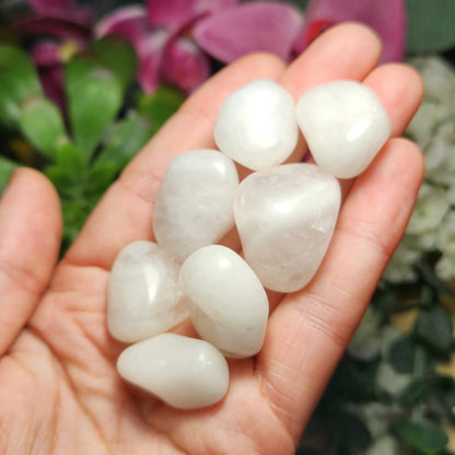 Dolomite Crystal