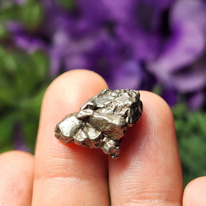 Meteorite Specimen