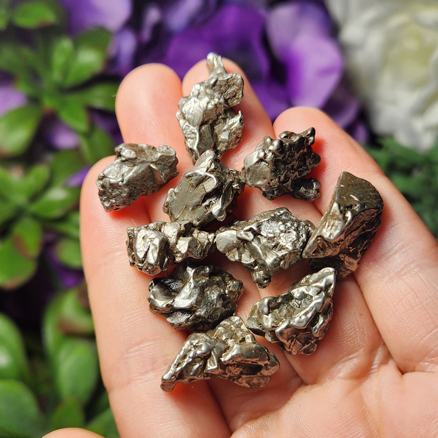 Meteorite Specimen