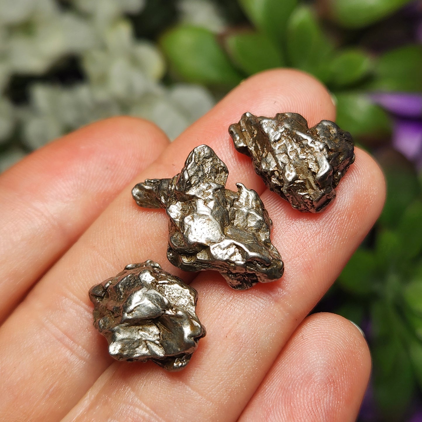 Meteorite Specimen