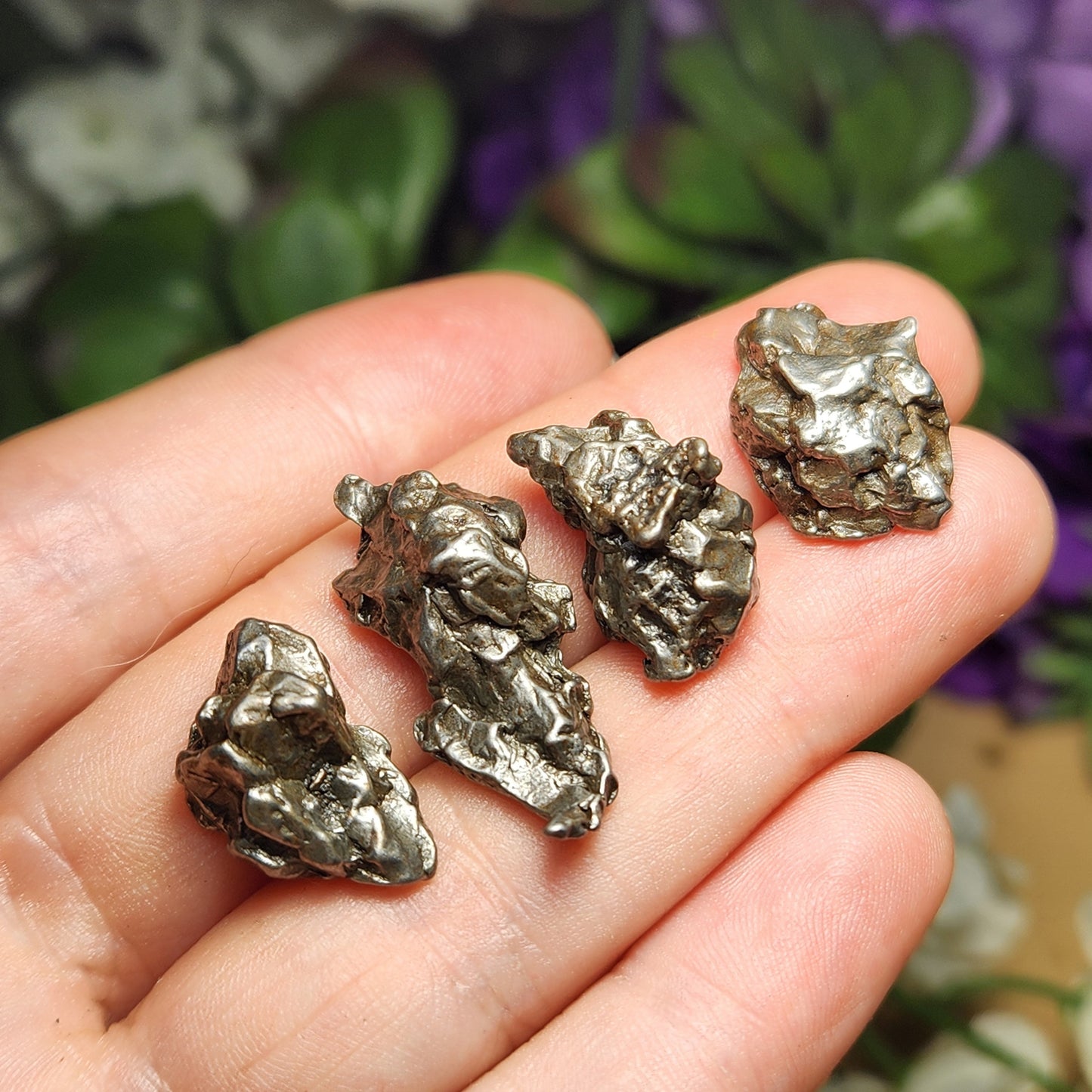 Meteorite Specimen