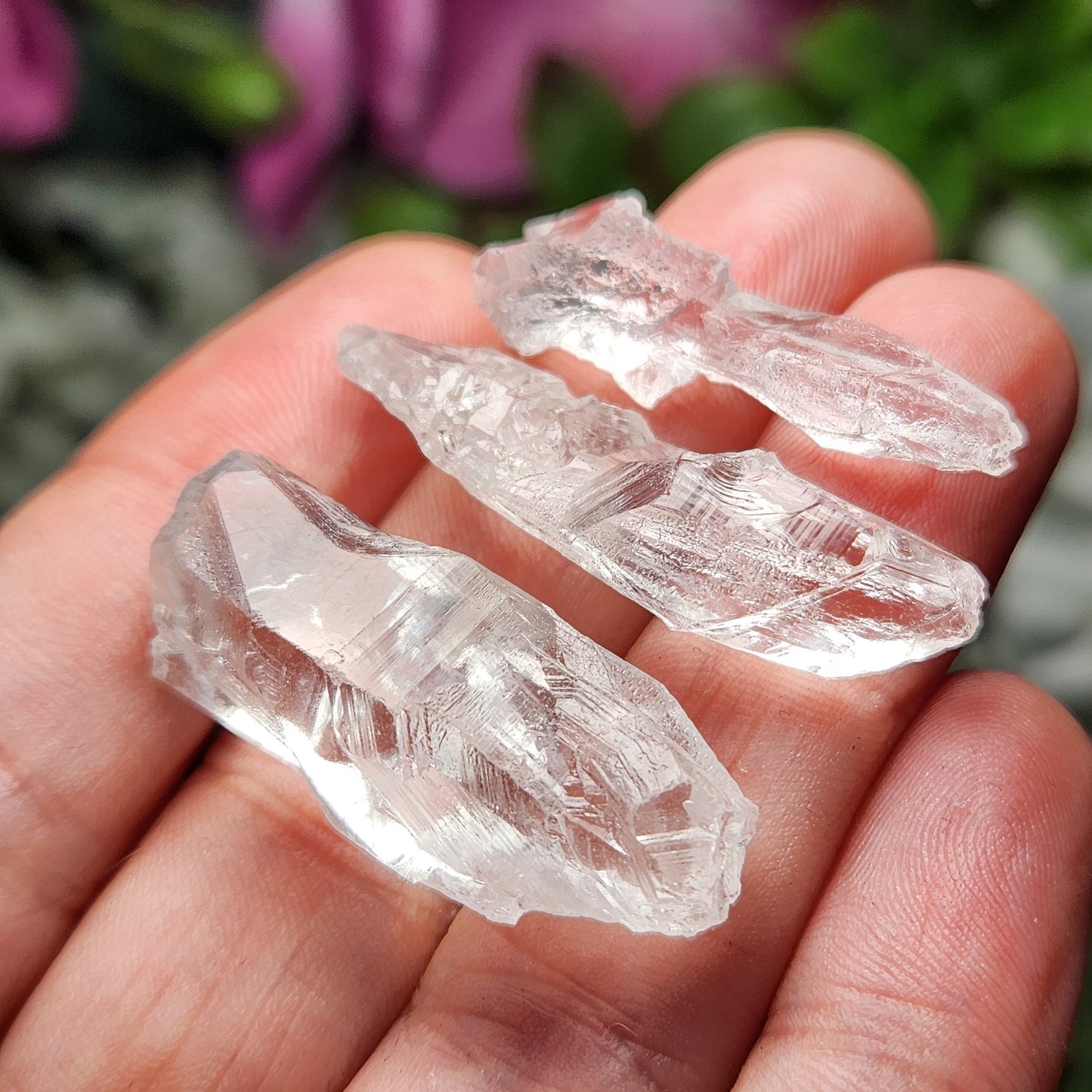 Lemurian Root Crystal