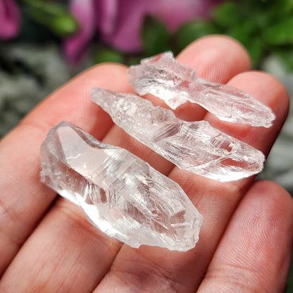 Lemurian Root Crystal