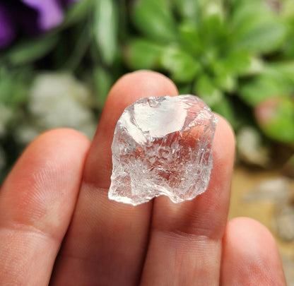 Etched Lemurian Seed Quartz