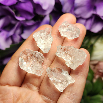 Etched Lemurian Seed Quartz