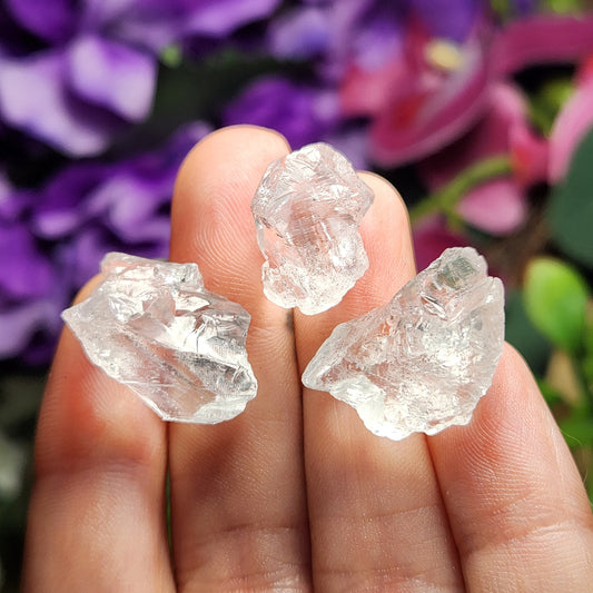 Etched Lemurian Seed Quartz