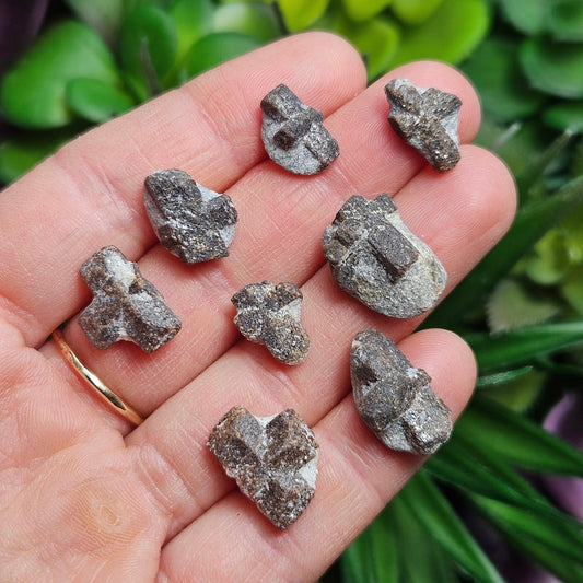 Staurolite Crystal