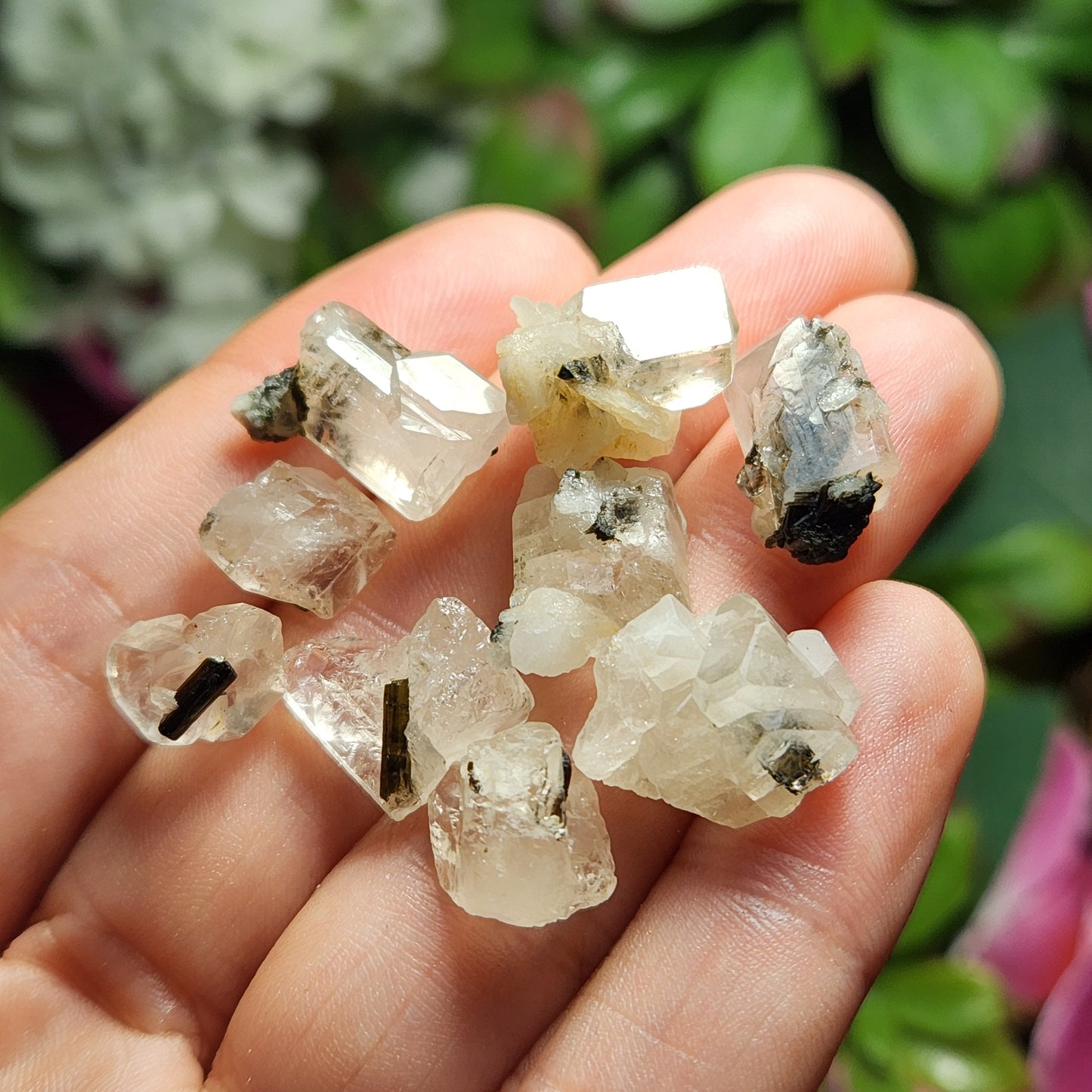 White Topaz & Black Tourmaline