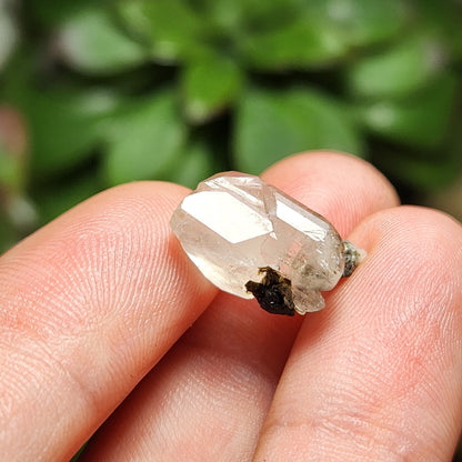 Clear Topaz with Tourmaline Blades – Rare Pakistan Raw Crystal Specimen Combo