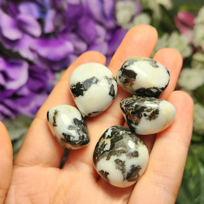 Yin Yang Stone