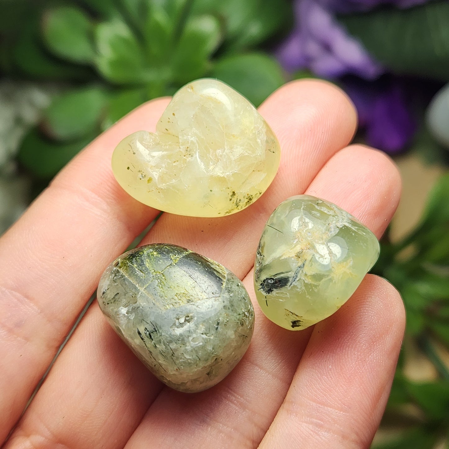 Prehnite Epidote