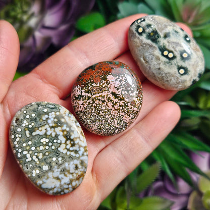 Orbicular Ocean Jasper