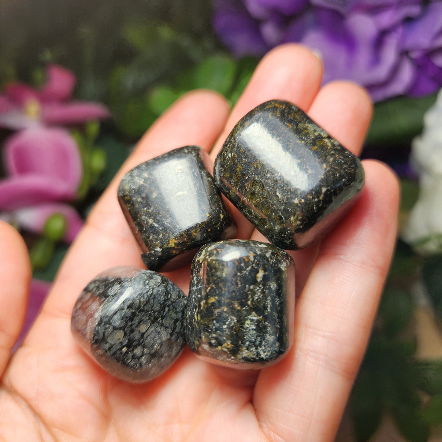 Black Galaxy Jasper