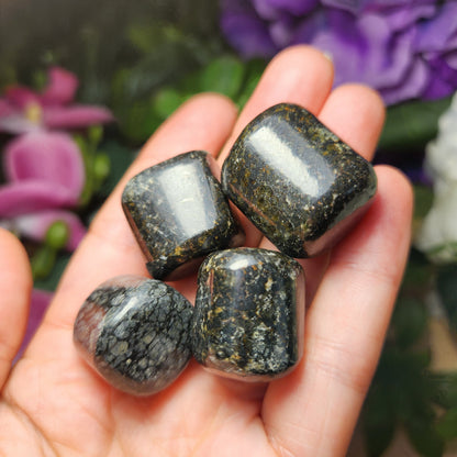 Black Galaxy Jasper