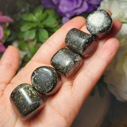 Black Galaxy Jasper