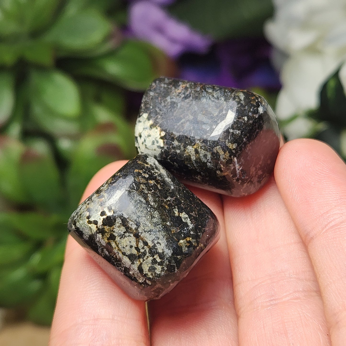 Black Galaxy Jasper