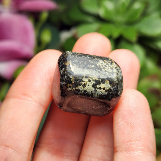 Black Galaxy Jasper