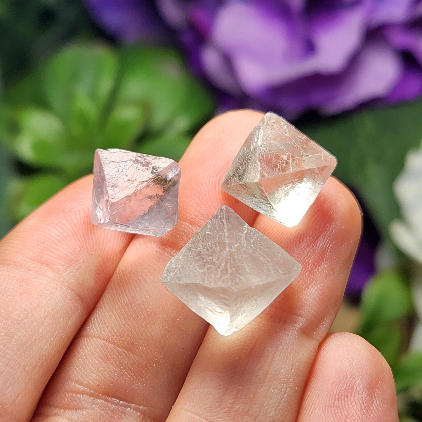 Yttrium CLEAR Fluorite