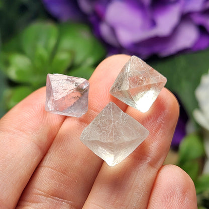 Yttrium CLEAR Fluorite