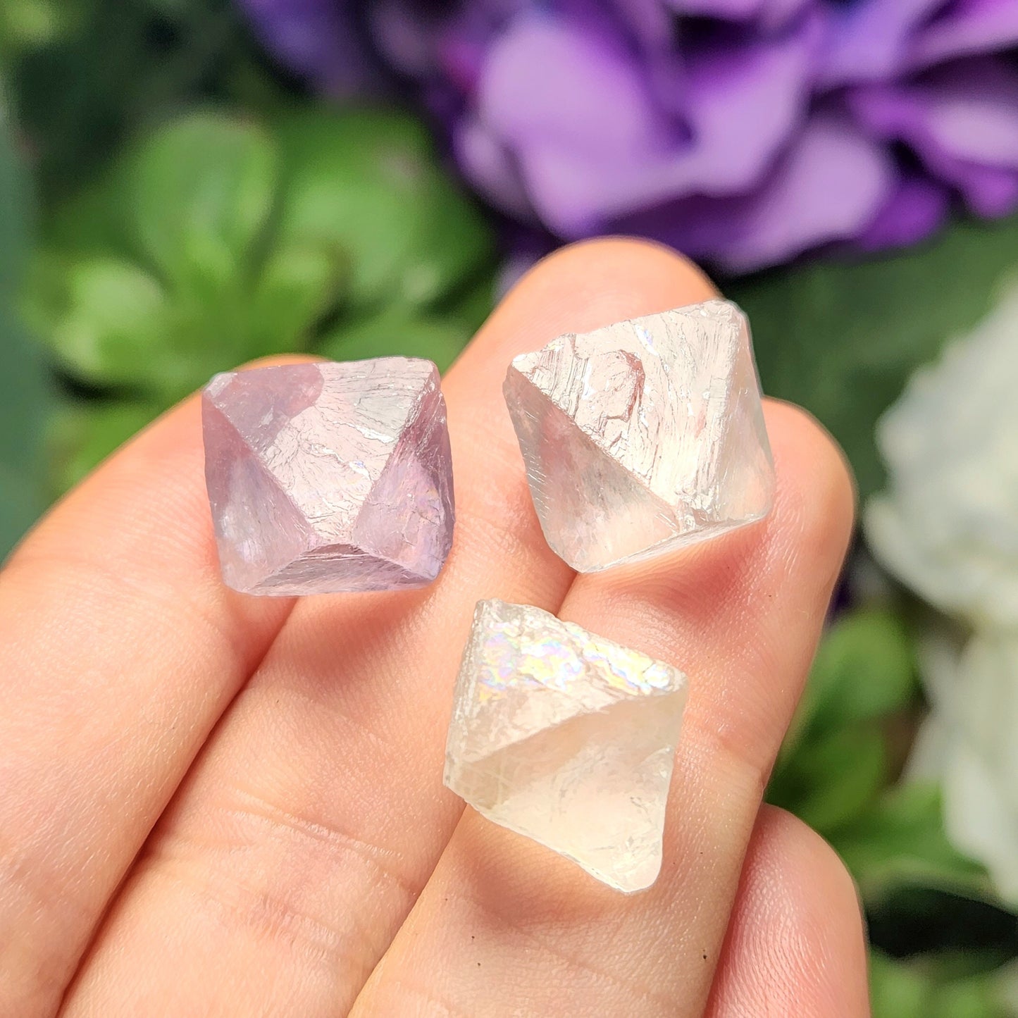 Yttrium CLEAR Fluorite