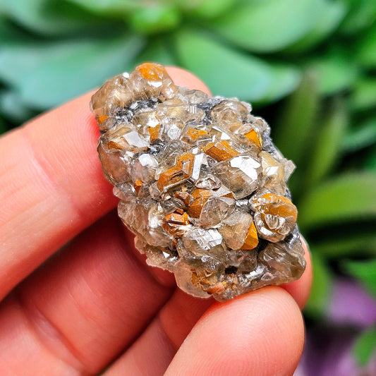 Cerussite Crystal Cluster