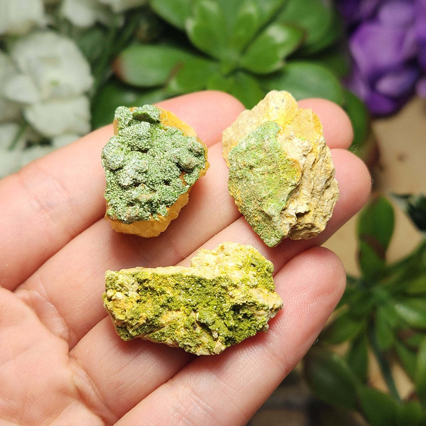 Raw Pyromorphite Crystal, Pyromorphite Cluster on Matrix
