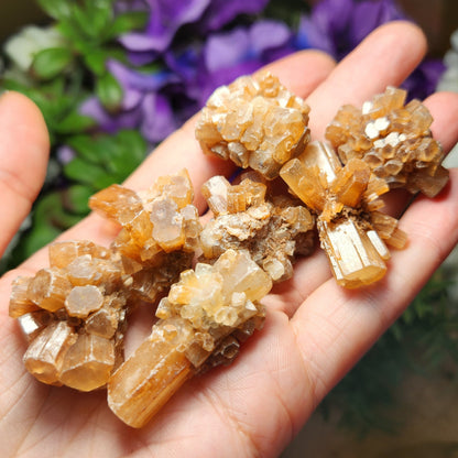 Aragonite Star Cluster