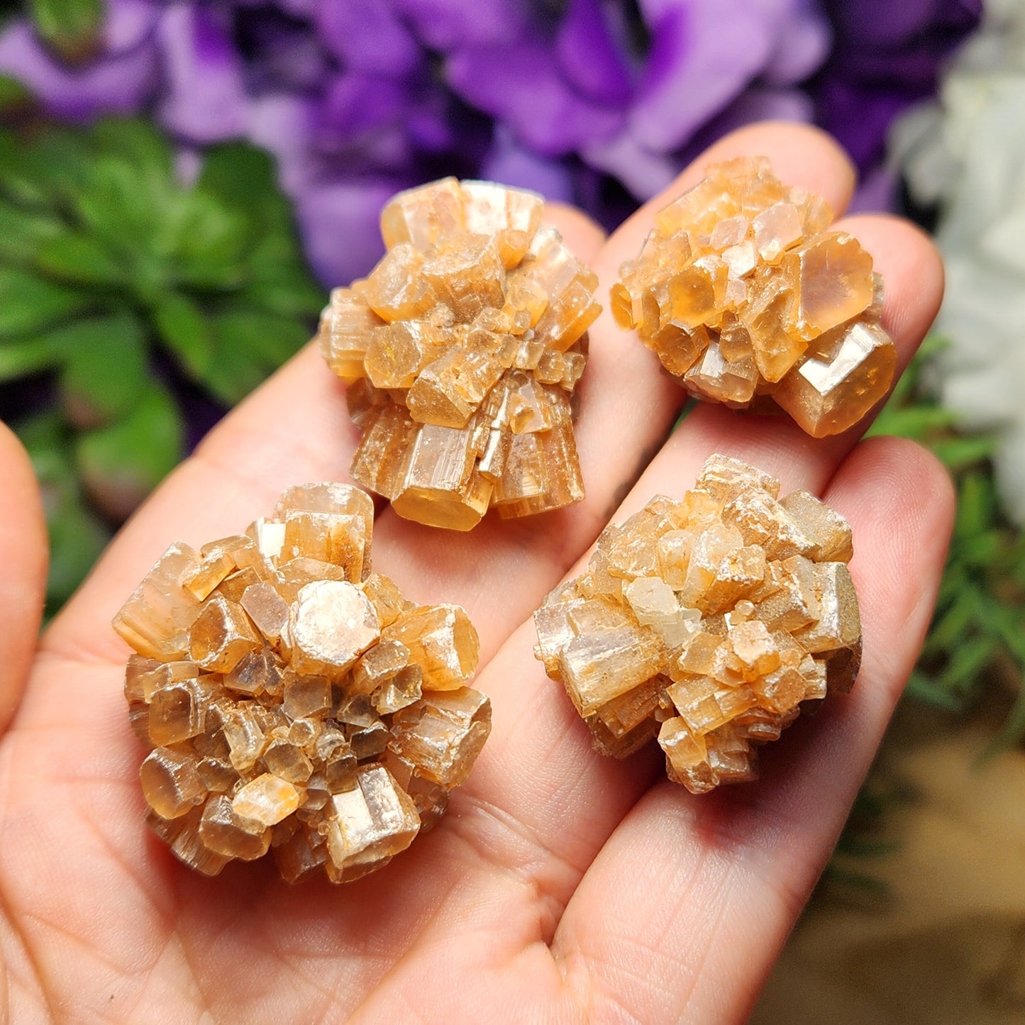 Aragonite Star Cluster