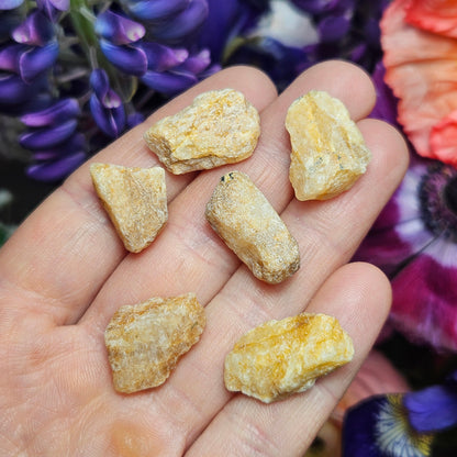 XL Phenacite Crystal