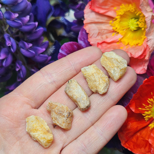 XL Phenacite Crystal