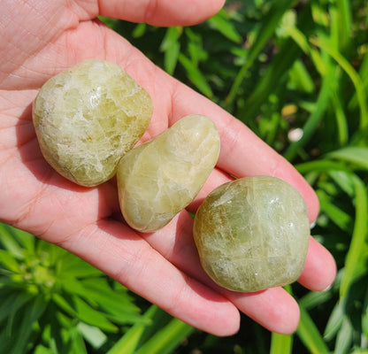 XL Heliodor Crystal