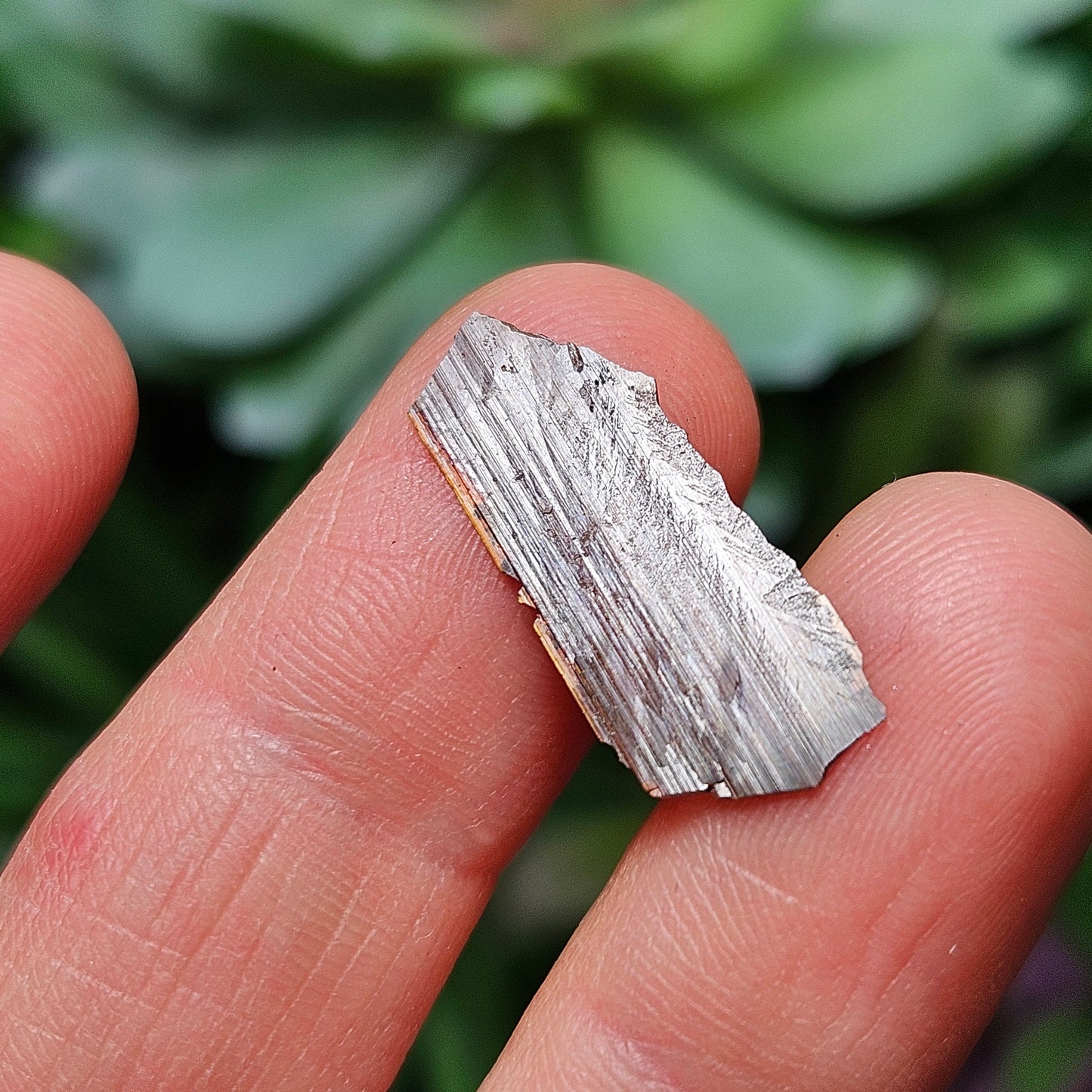 Brookite Blade Specimens
