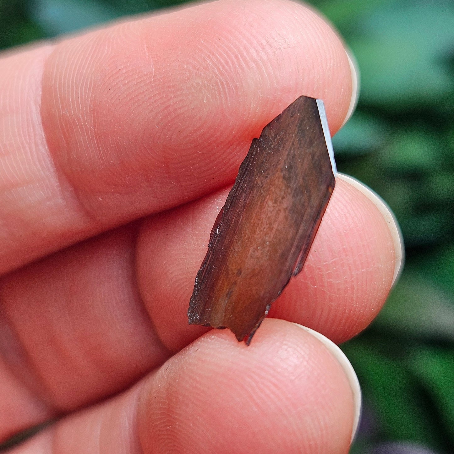 Brookite Blade Specimens