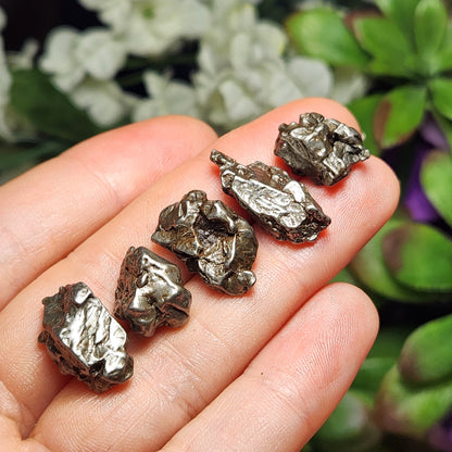 Meteorite Specimen