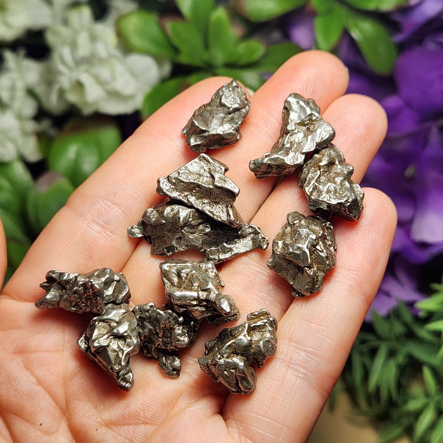 Meteorite Specimen