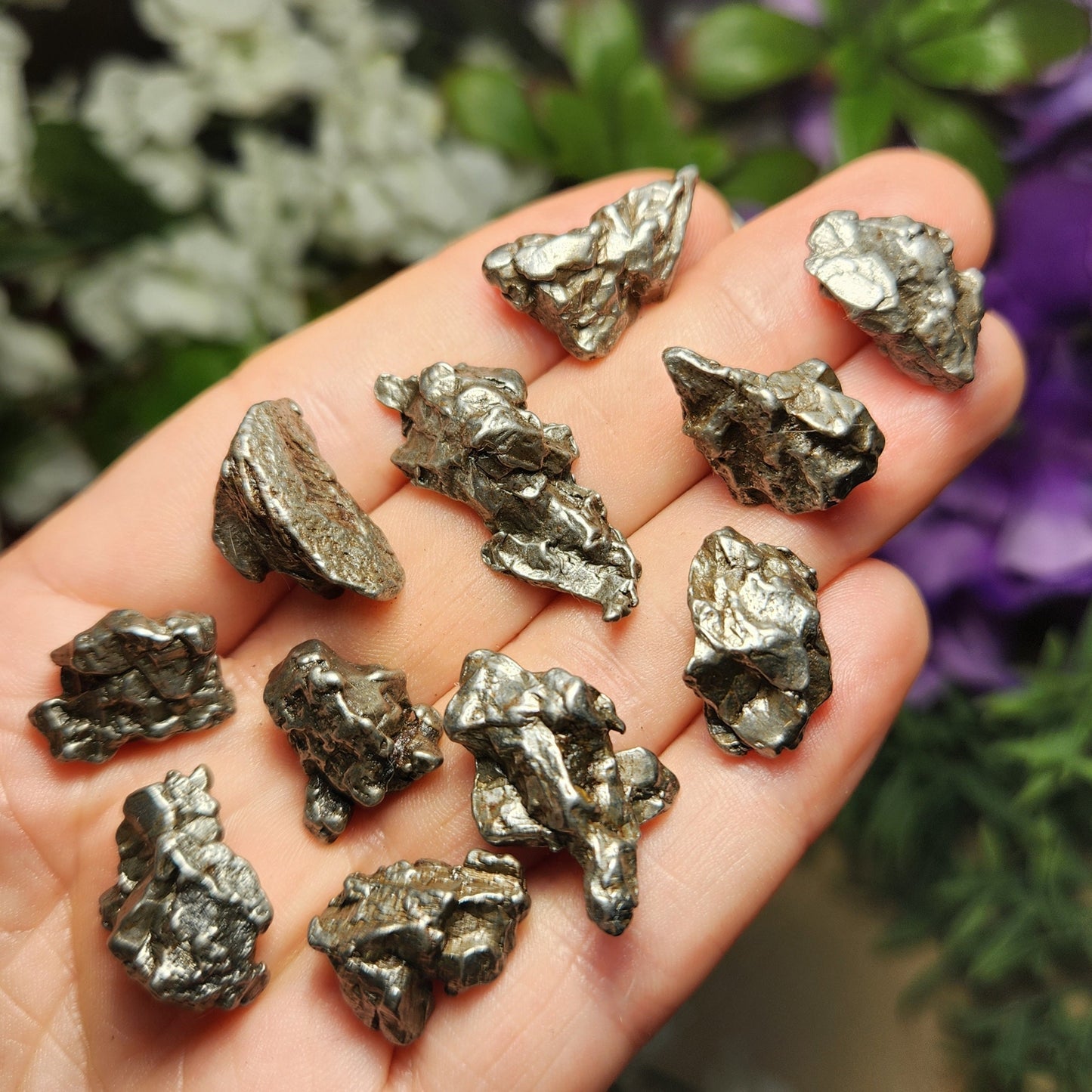 Meteorite Specimen