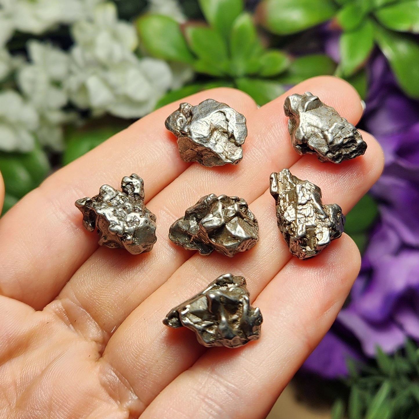 Meteorite Specimen