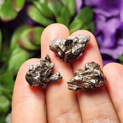 Meteorite Specimen