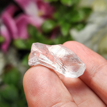 Lemurian Root Crystal