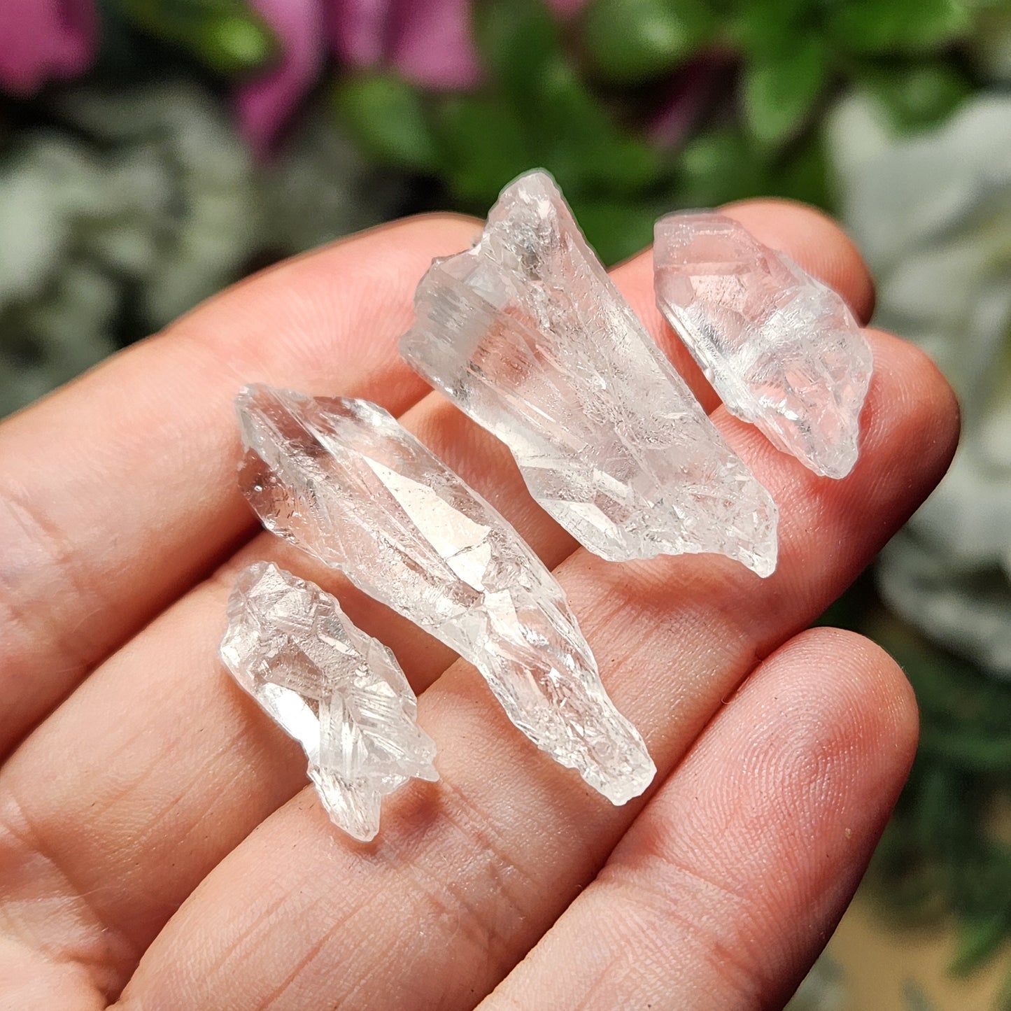 Lemurian Root Crystal