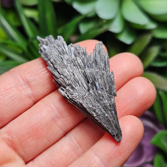 Black Kyanite