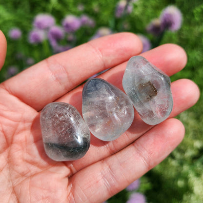 Blue Tara Nightshade Quartz