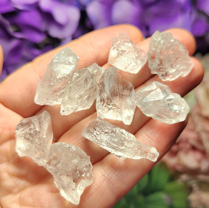 Etched Lemurian Seed Quartz