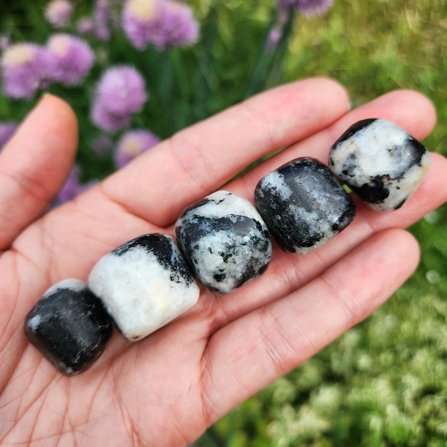 Black Tourmaline in Quartz
